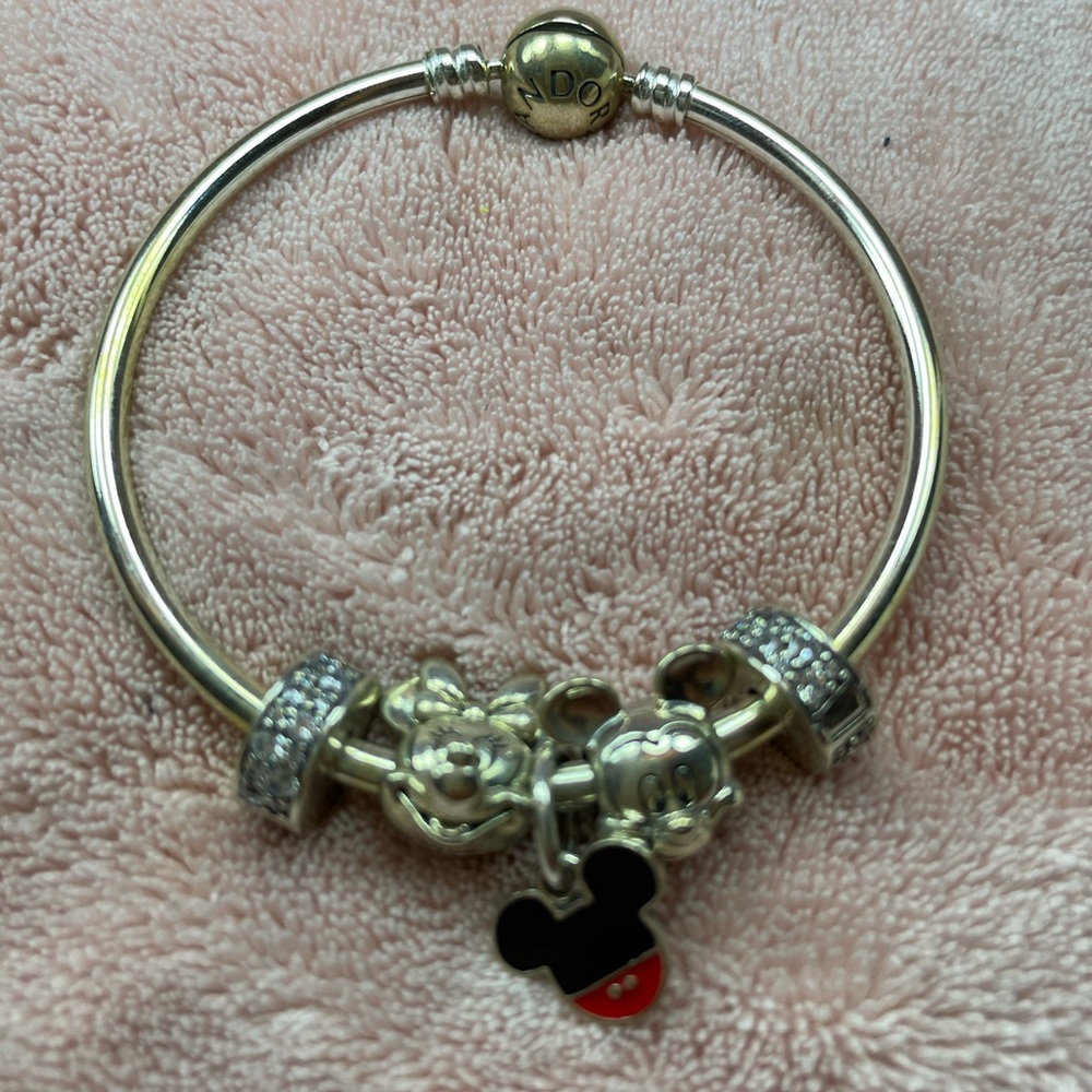 Pandora bracelet with charms